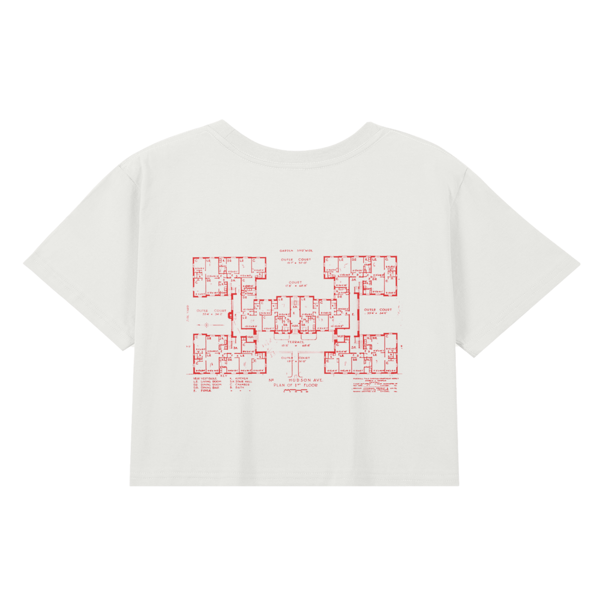 Northside Women Seamless Baby Tee