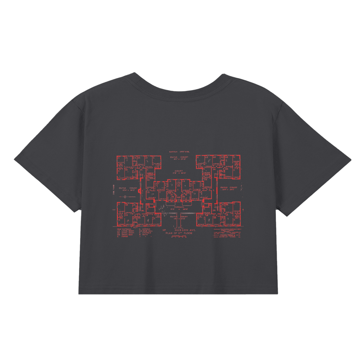 Northside Women Seamless Baby Tee